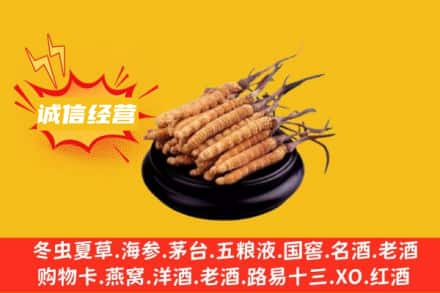 泉州泉港区回收冬虫夏草